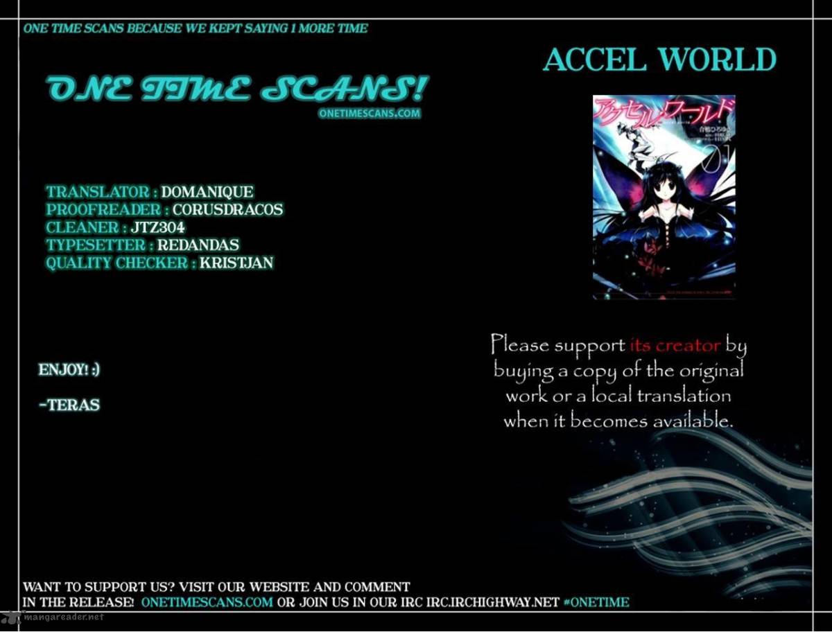 Accel World 29 31