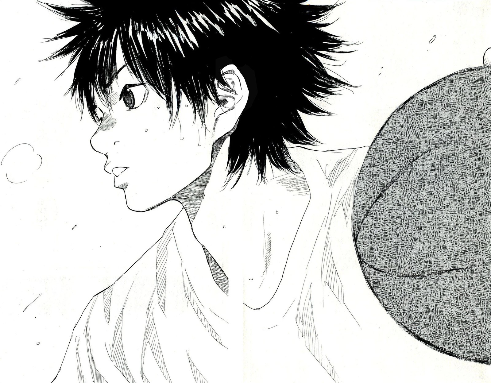 Ahiru No Sora 246b 6