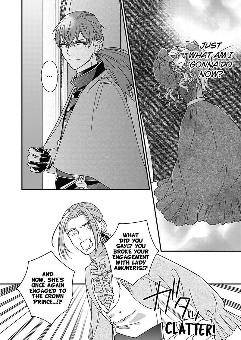 Akuyaku Reijou Ni Tensei Shitara Tekikoku Mittei Ni Kyuukonsaremashita 17 28