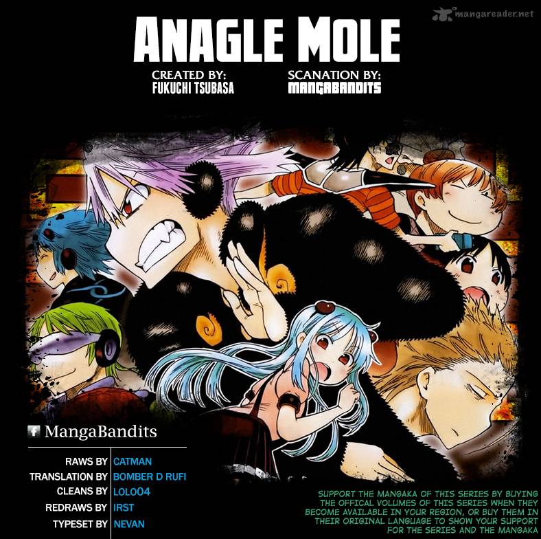 Anagle Mole 43 19