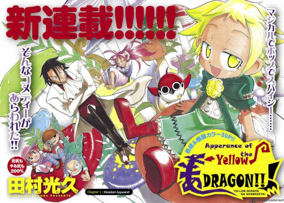 Appearance Of The Yellow Dragon 1 3