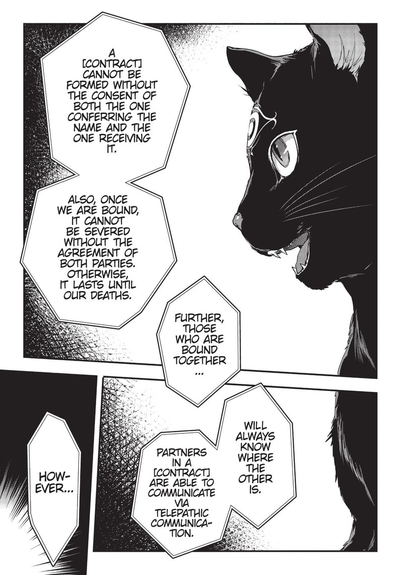 Assassin De Aru Ore No Sutetasu Ga Yuusha Yori Mo Akiraka Ni Tsuyoi Nodaga 11 20