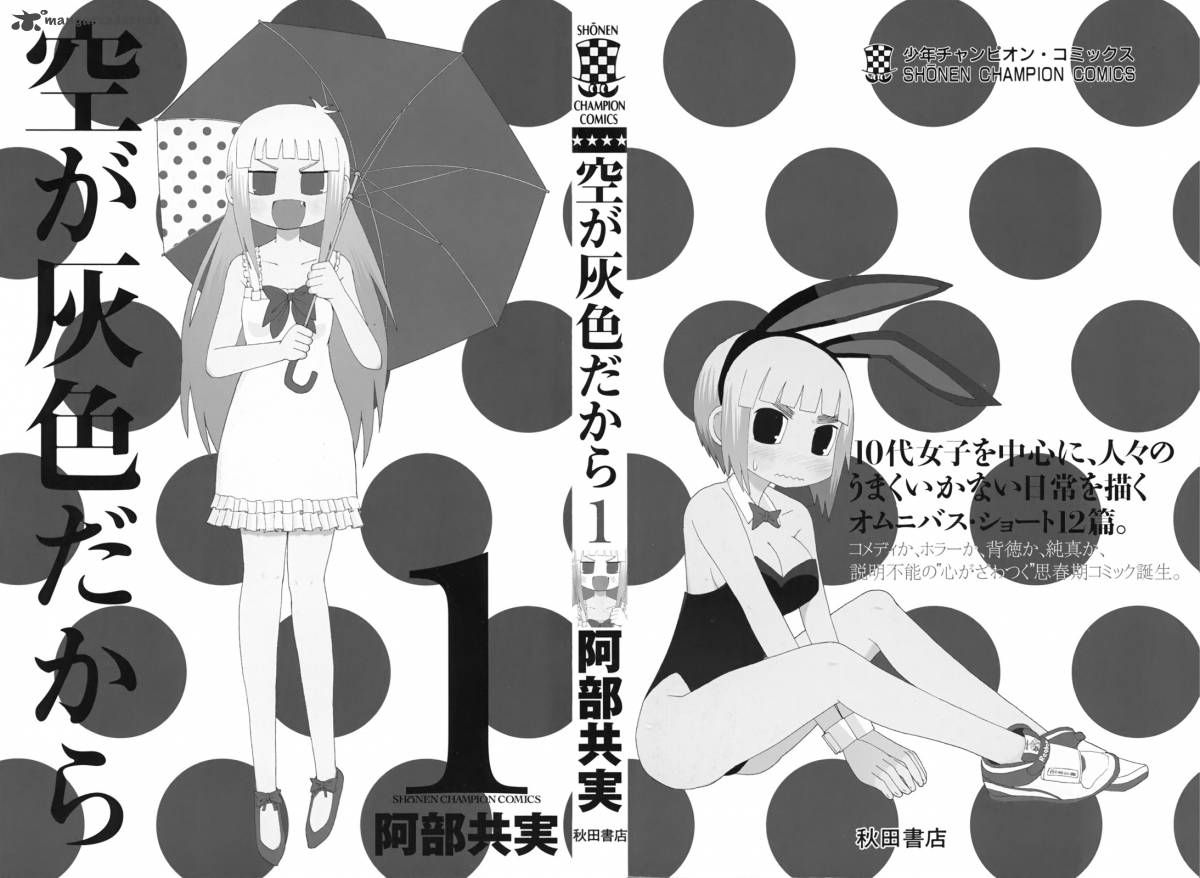 Because The Sky Is Gray 1 3