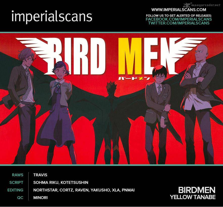 Birdmen 12 2