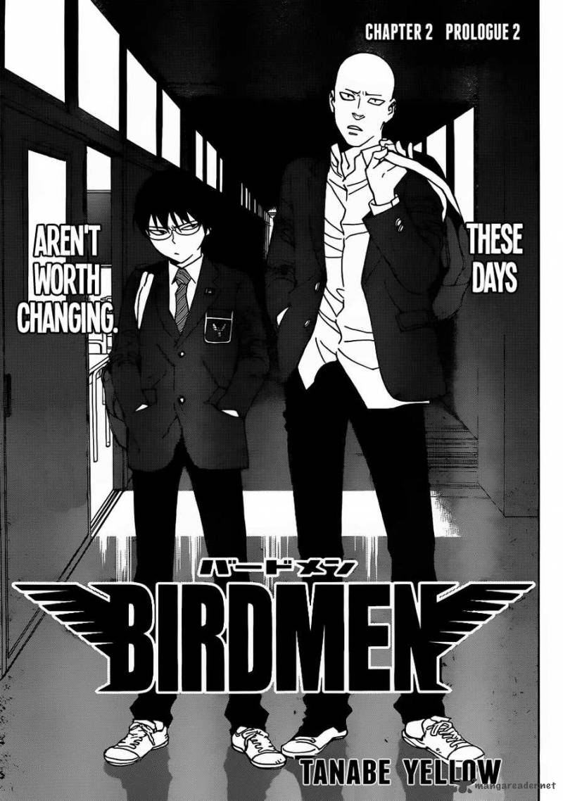 Birdmen 2 4