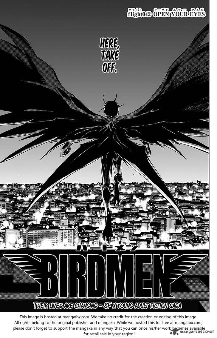 Birdmen 42 4