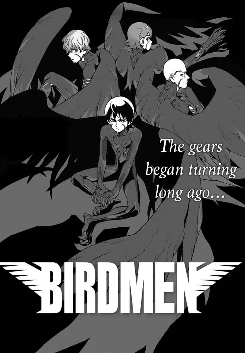 Birdmen 45 2