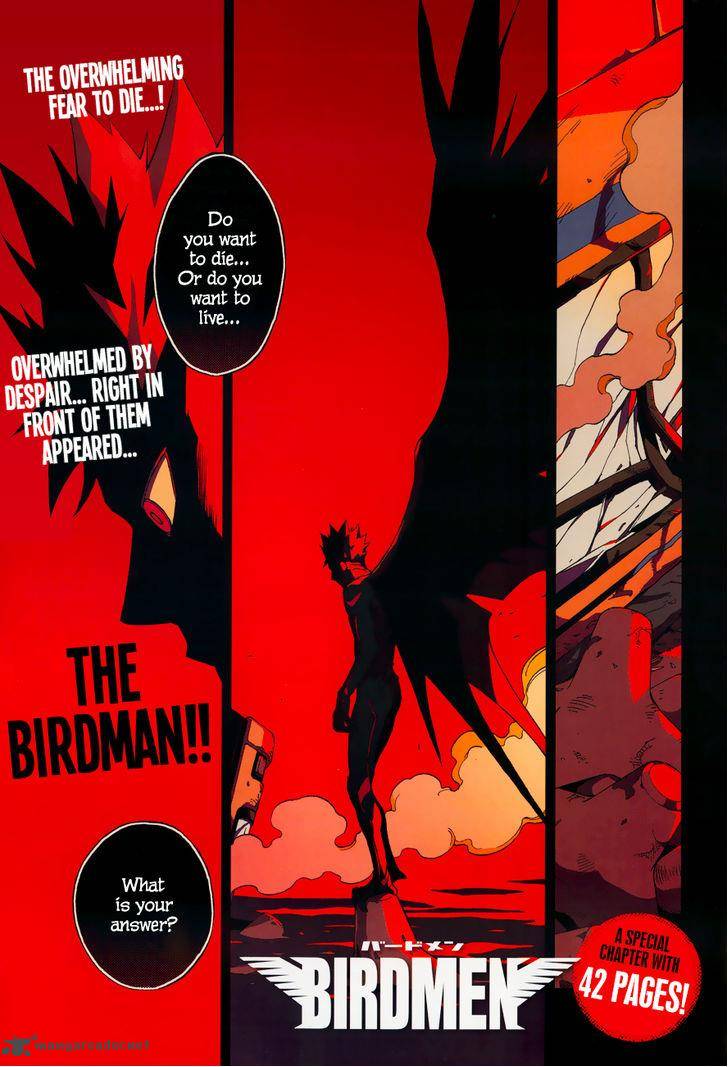 Birdmen 5 1