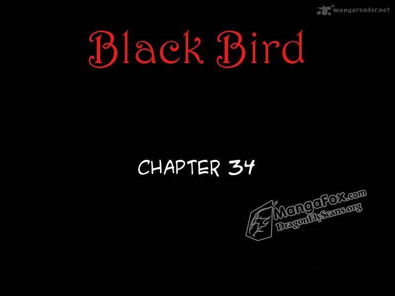 Black Bird 34 2