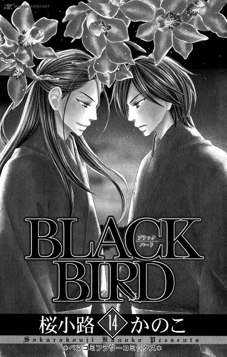 Black Bird 52 3