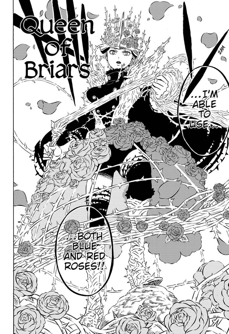 Black Clover 277 13