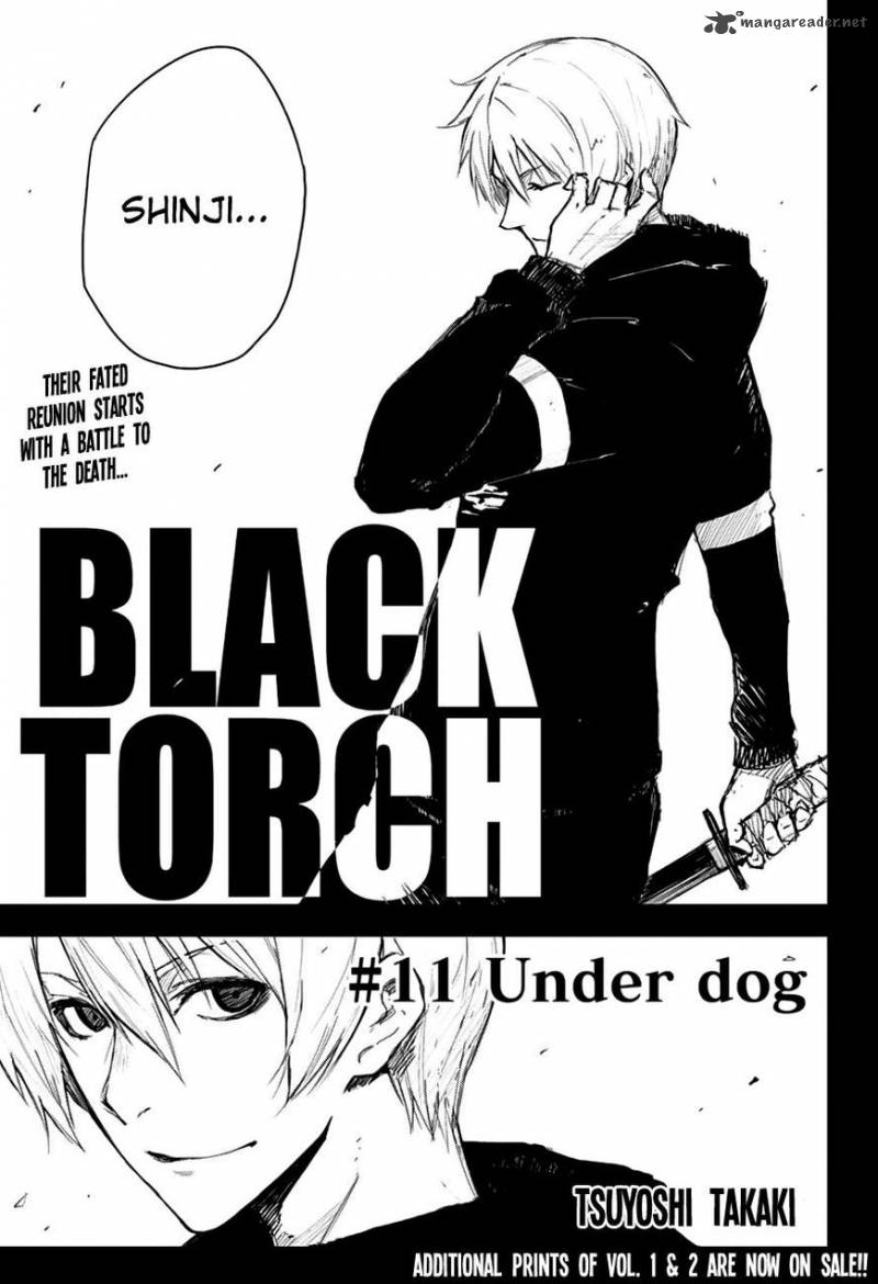 Black Torch 11 6