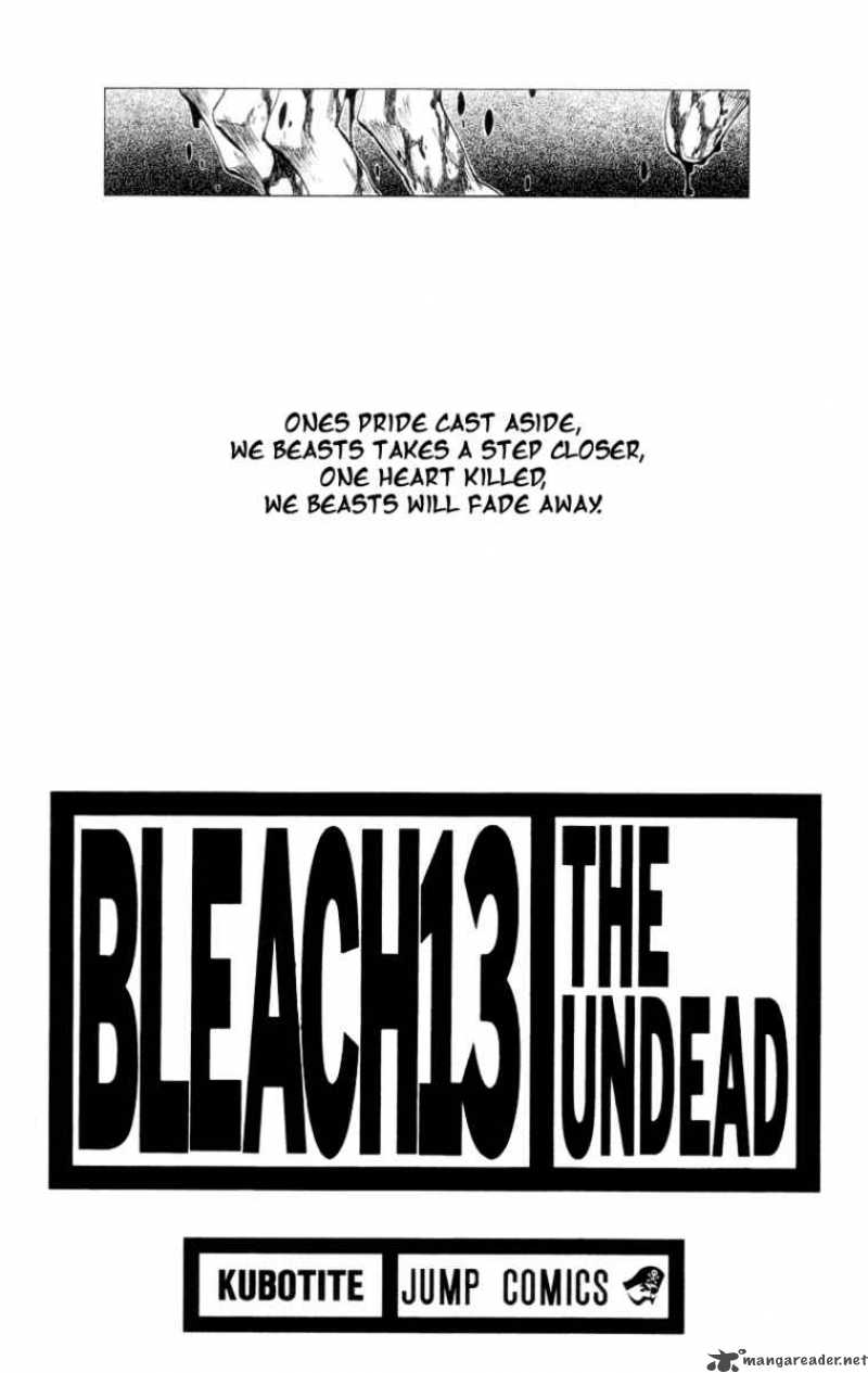 Bleach 108 2