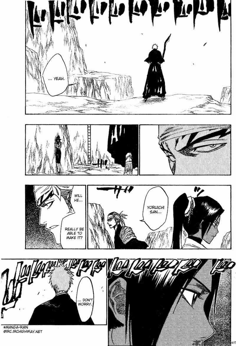 Bleach 137 15