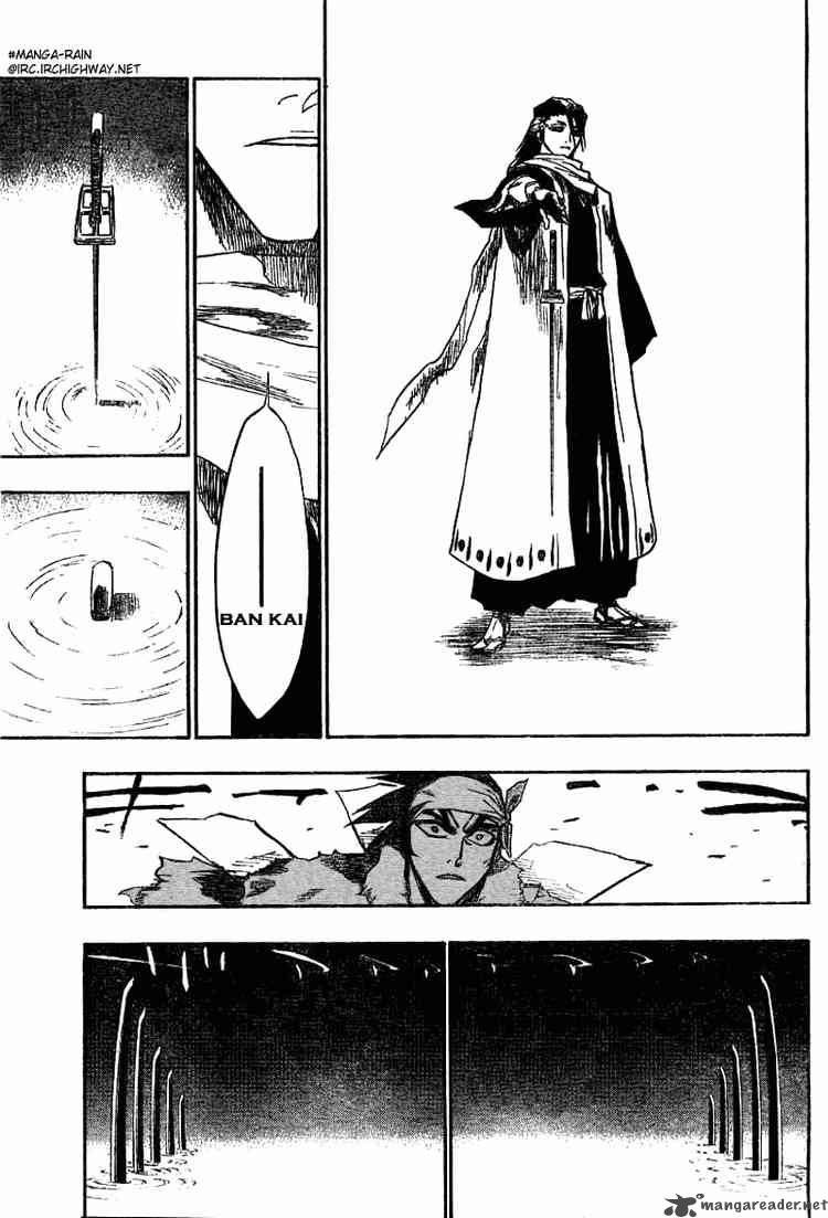 Bleach 142 11