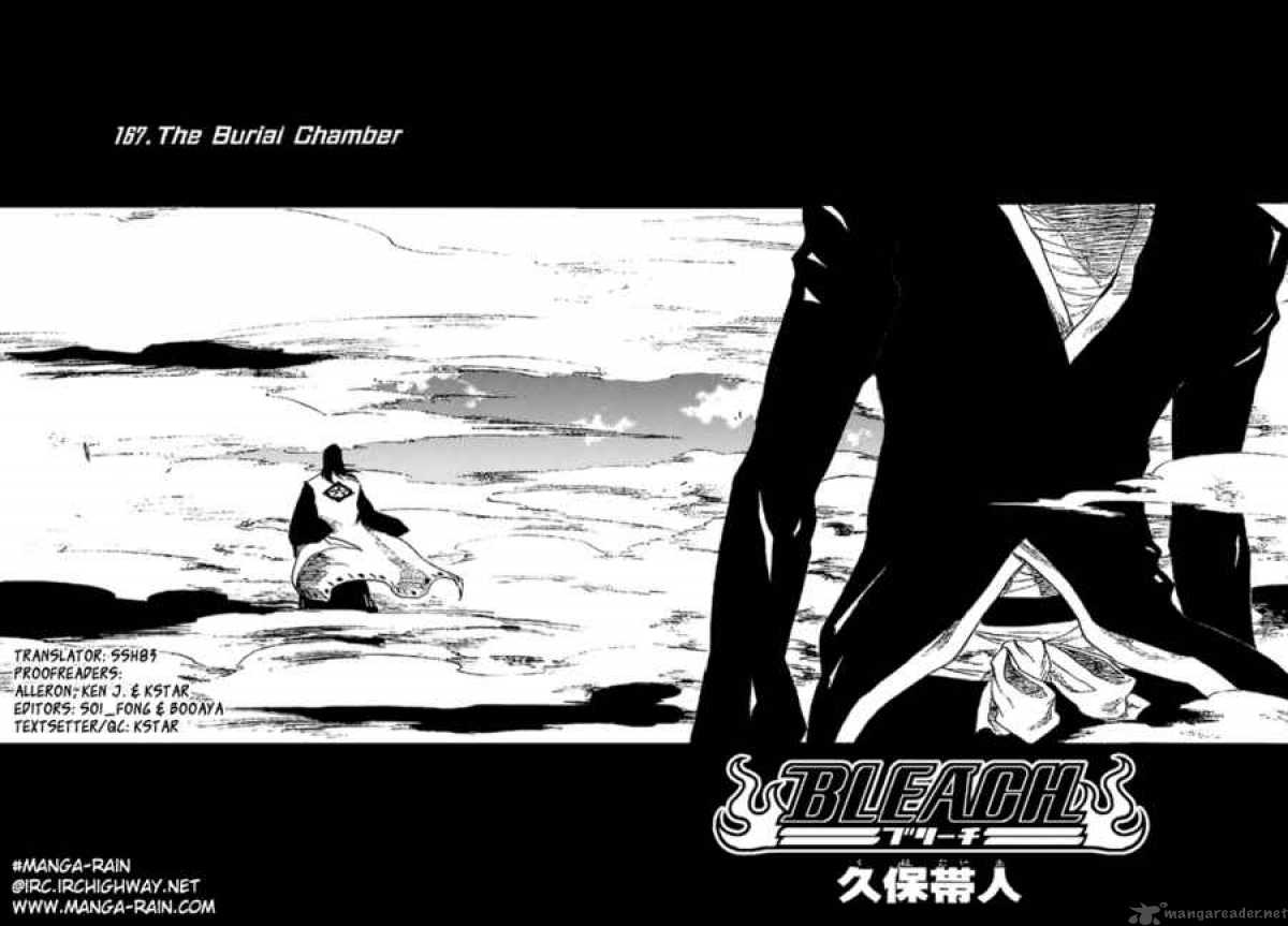 Bleach 167 4