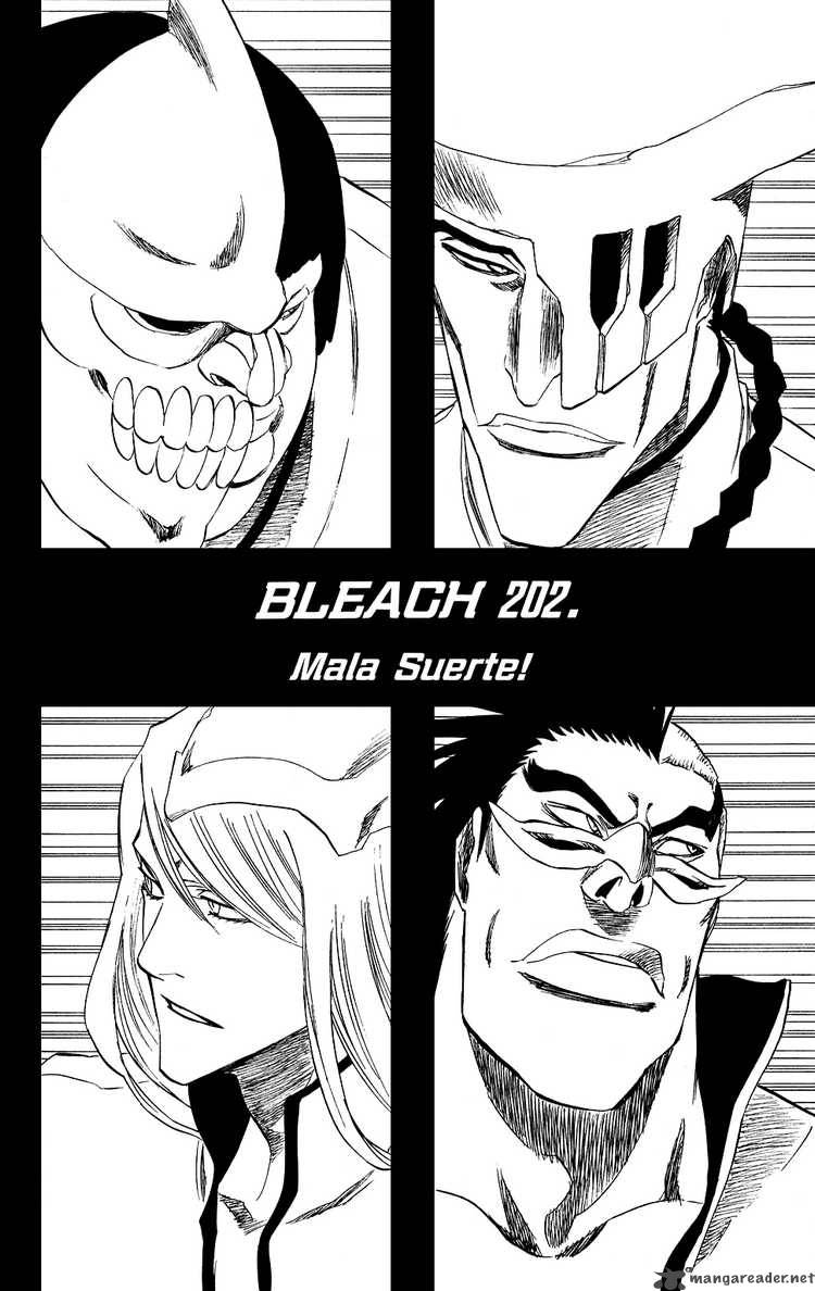 Bleach 202 8