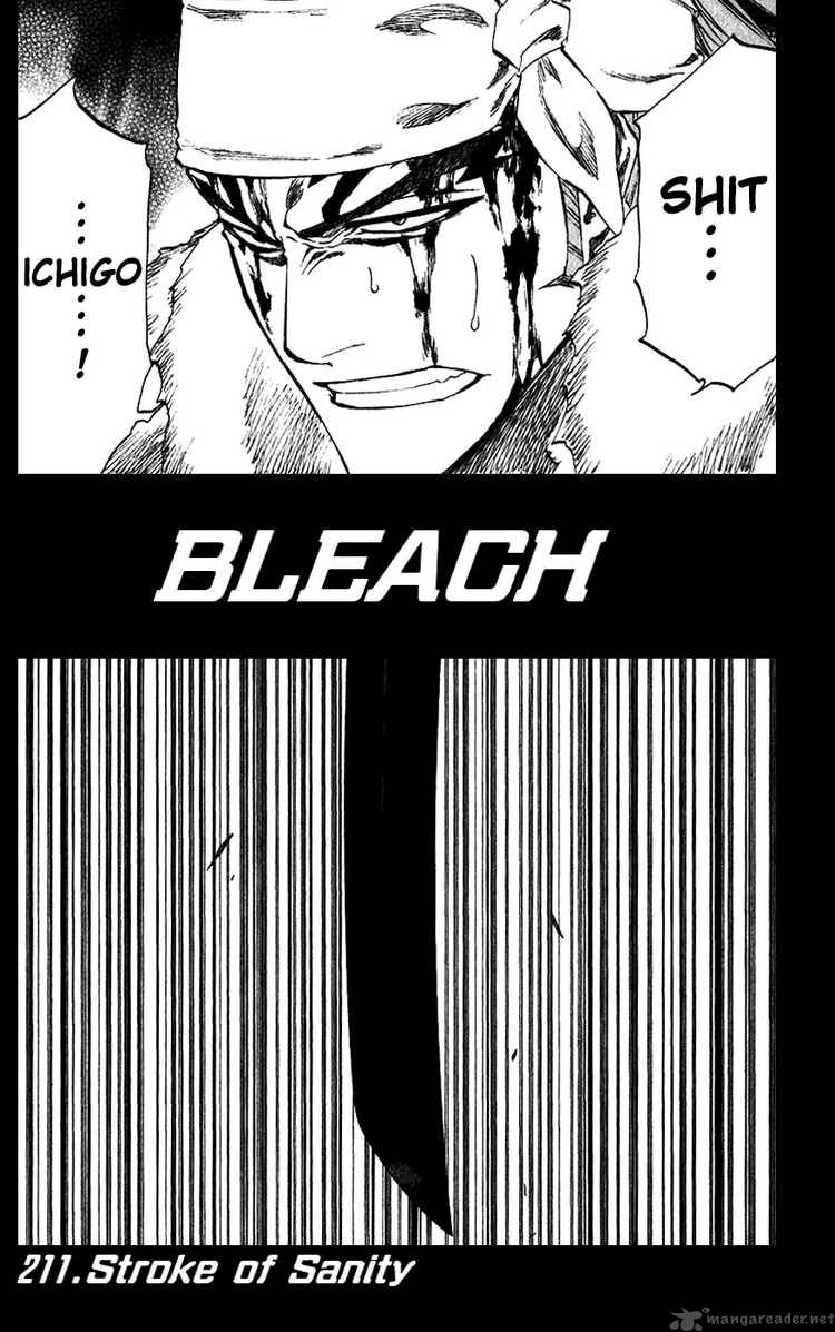 Bleach 211 4