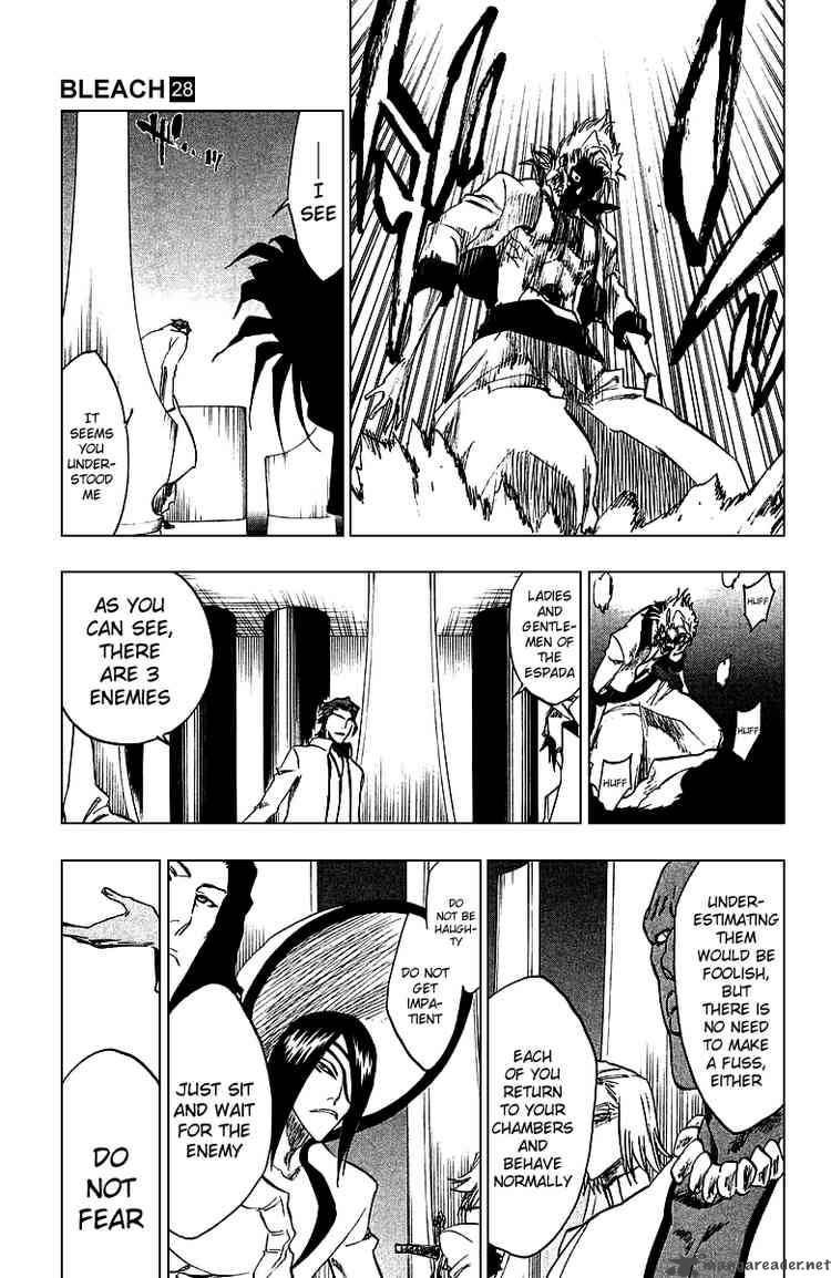 Bleach 245 10