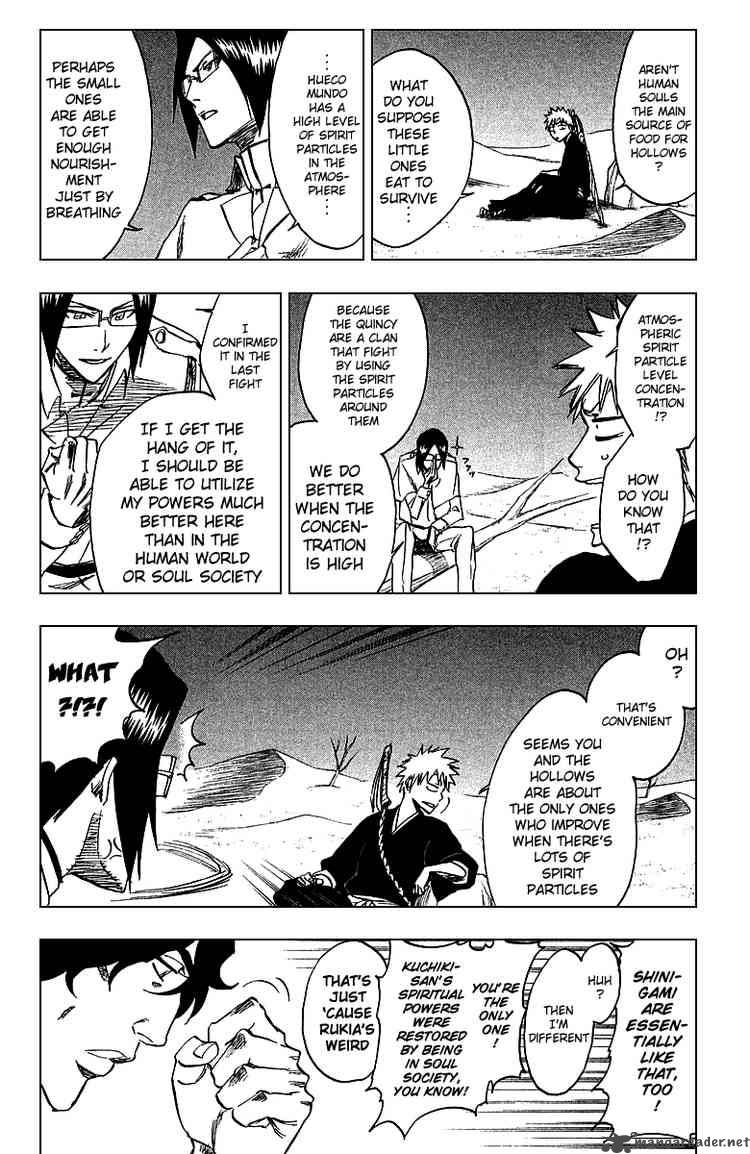 Bleach 245 15