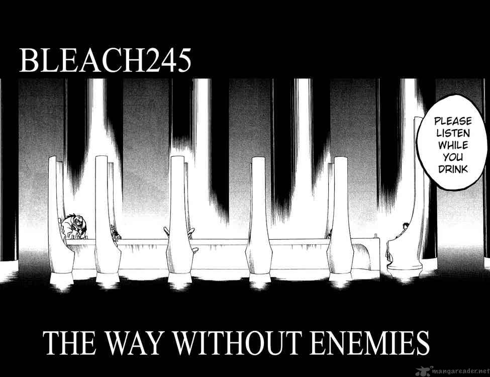 Bleach 245 2