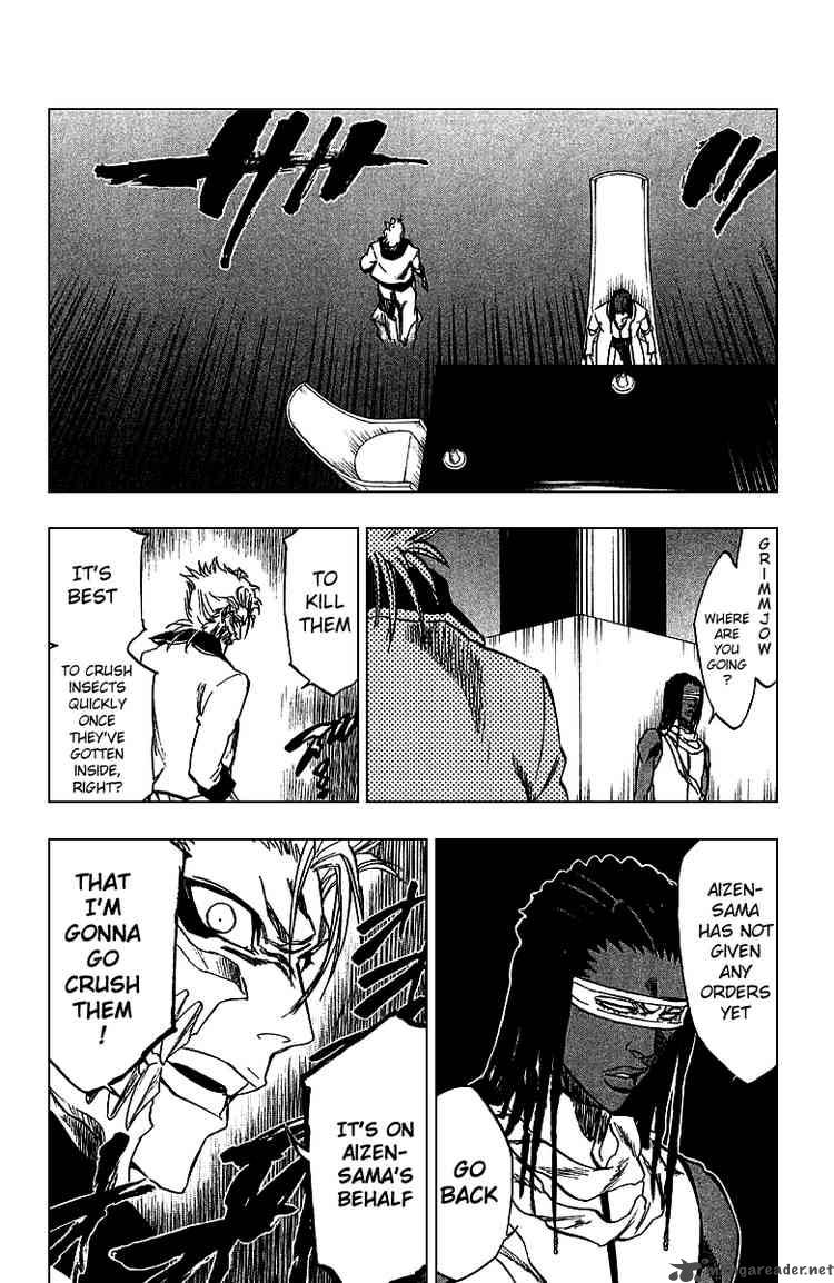 Bleach 245 7