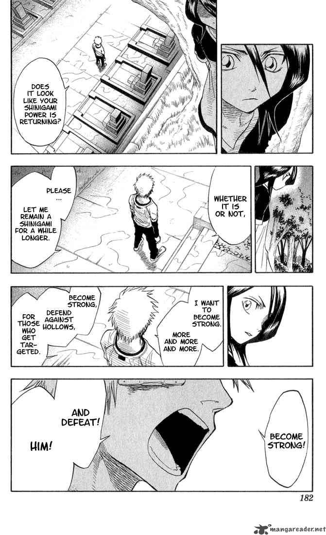 Bleach 25 15