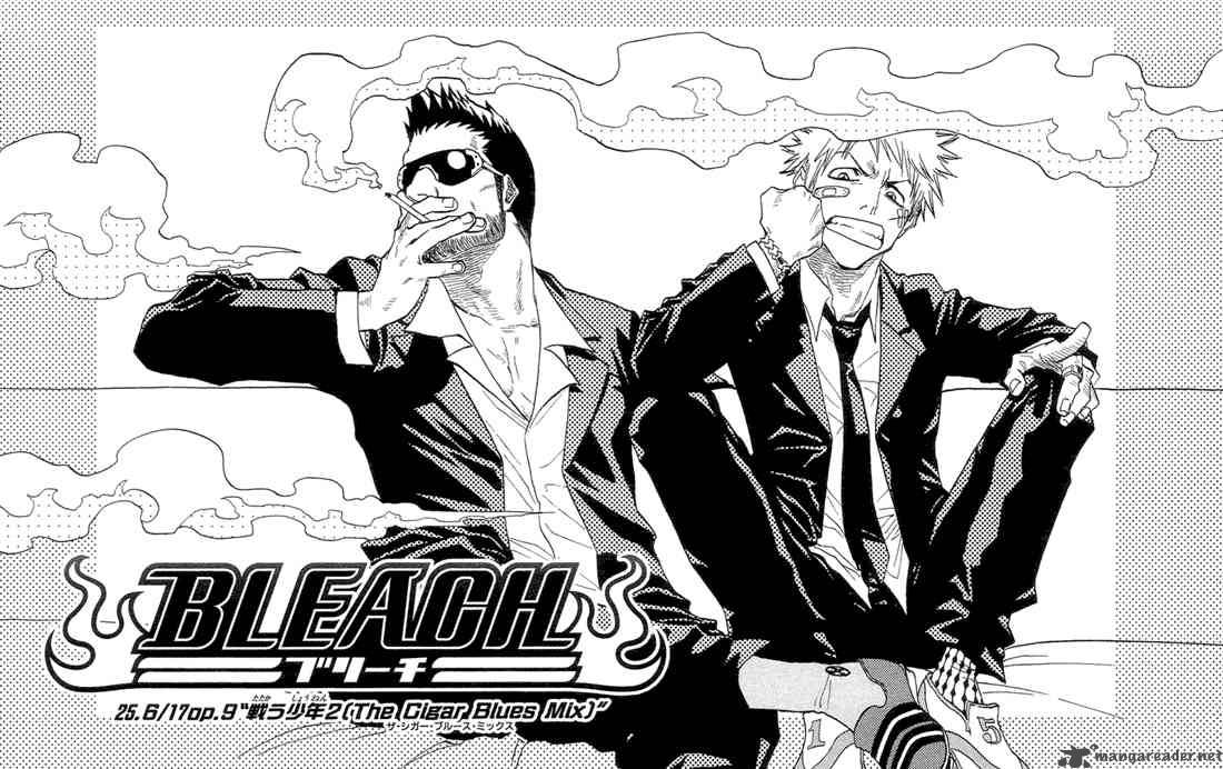 Bleach 25 5