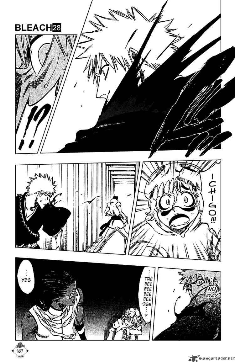 Bleach 250 17