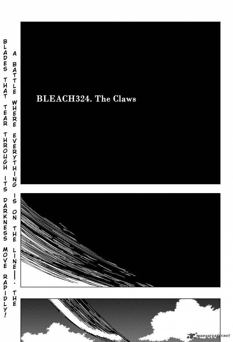 Bleach 324 5