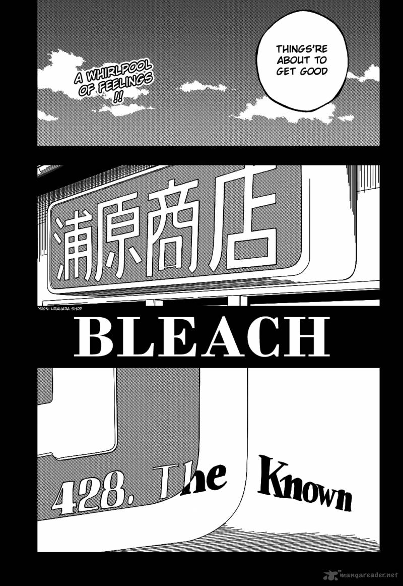 Bleach 428 15