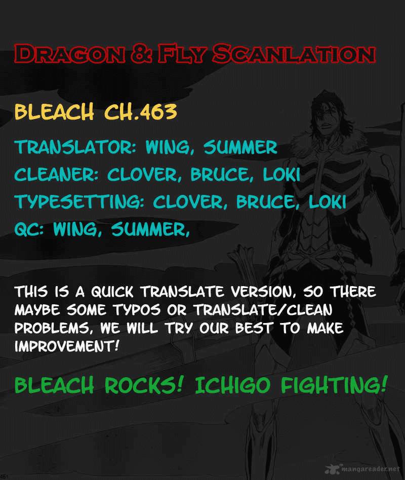 Bleach 463 18