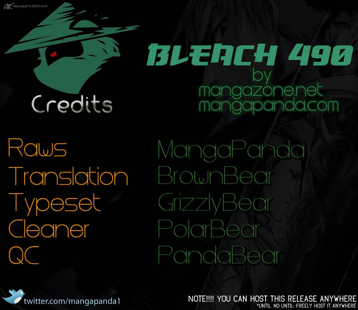 Bleach 490 17