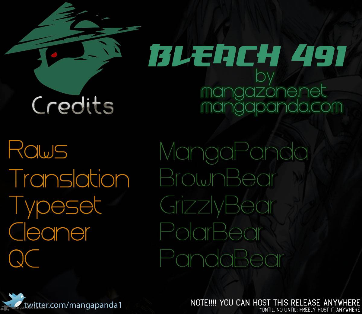 Bleach 491 18