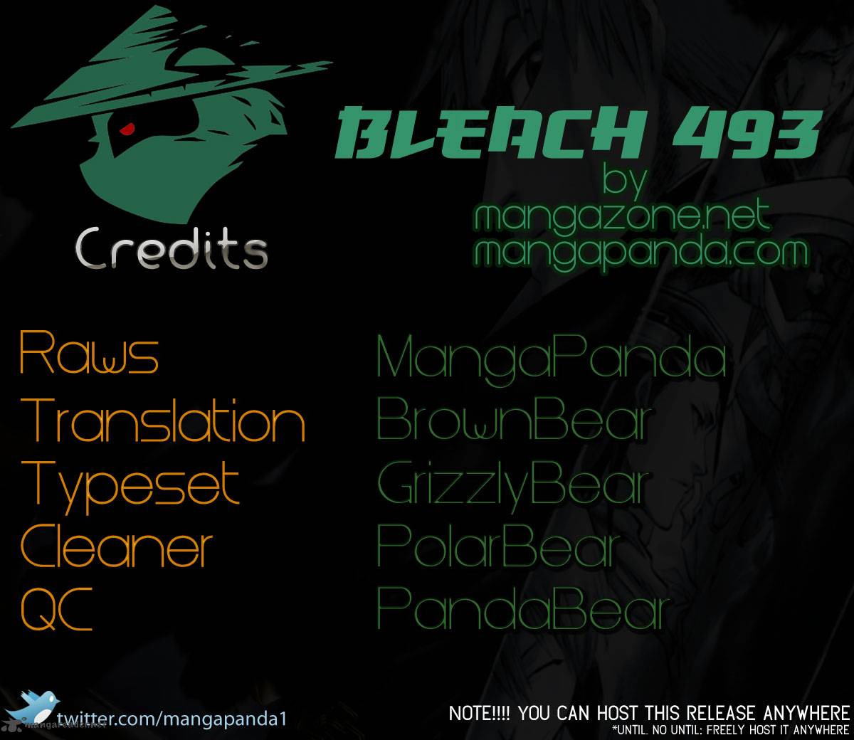 Bleach 493 18