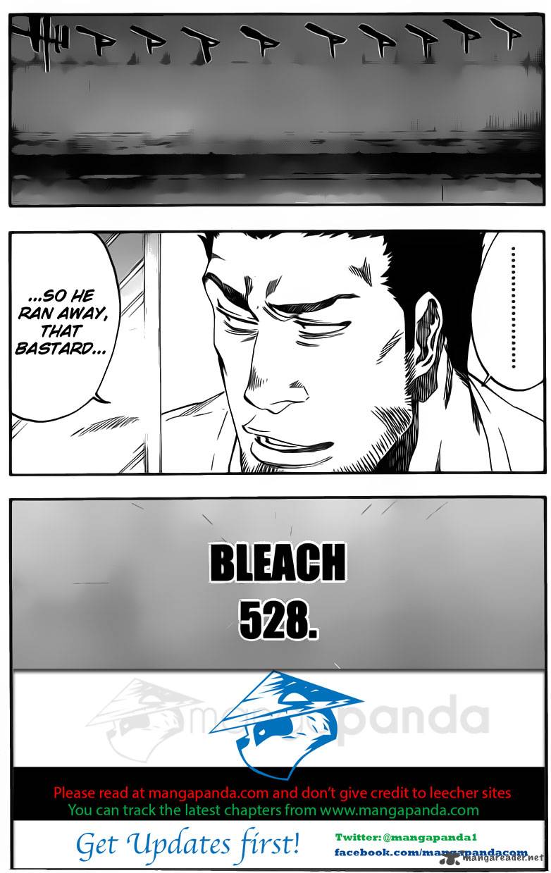 Bleach 528 3