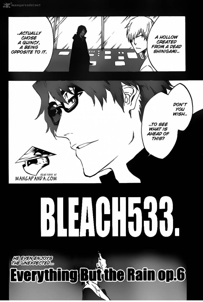 Bleach 533 12