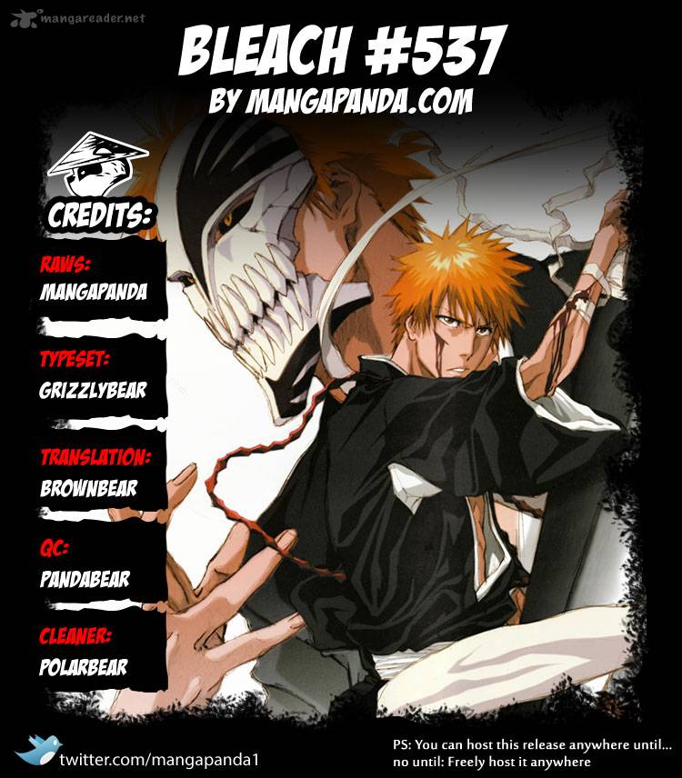 Bleach 537 21