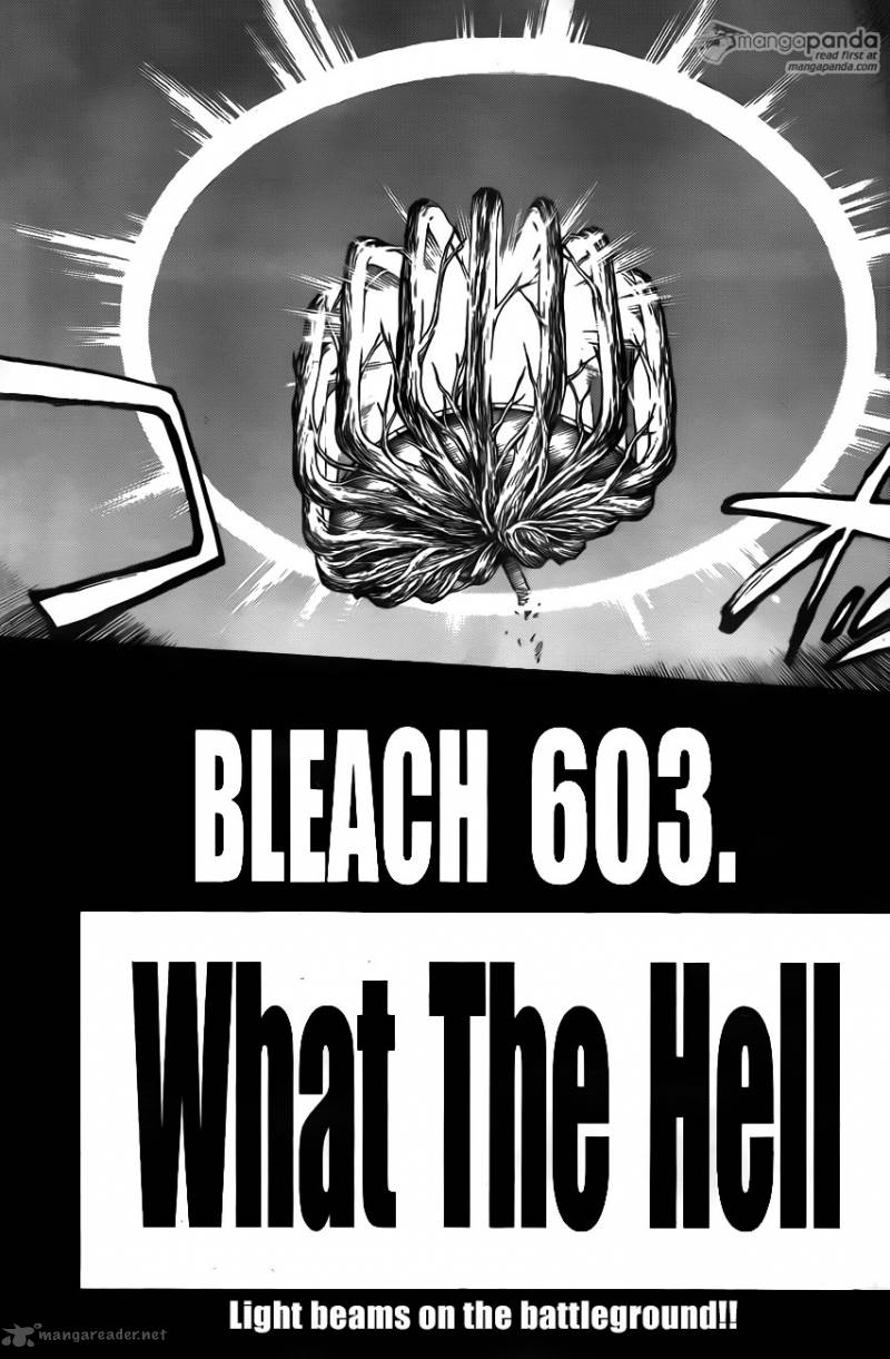 Bleach 603 3
