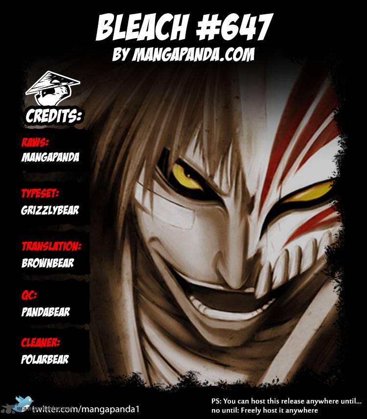 Bleach 647 17