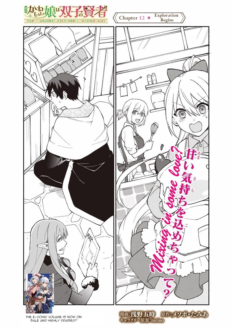 Boku No Kawai Musume Wa Futago No Kenja Tokugi Ga Debafu No Teihen Kuro Madoushi Sodateta Futago No Musume Ga S Rank No Dai Kenja Ni Natteshimau 12 3