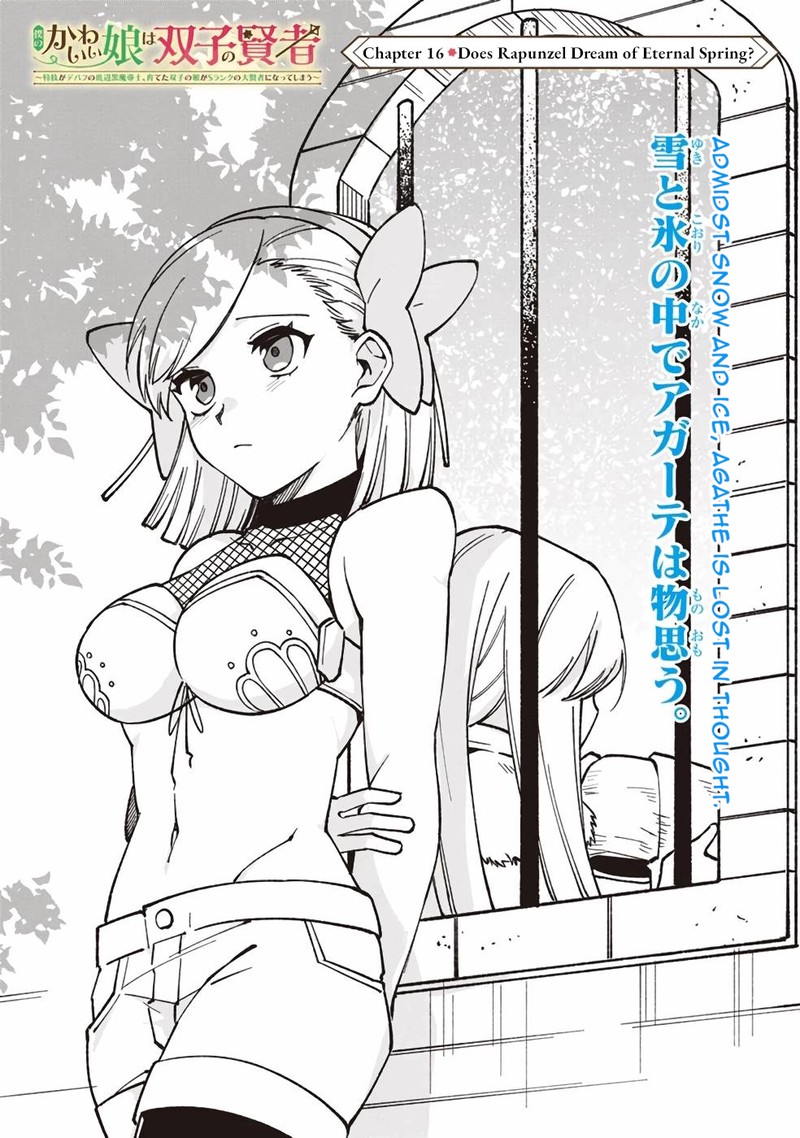 Boku No Kawai Musume Wa Futago No Kenja Tokugi Ga Debafu No Teihen Kuro Madoushi Sodateta Futago No Musume Ga S Rank No Dai Kenja Ni Natteshimau 16 3