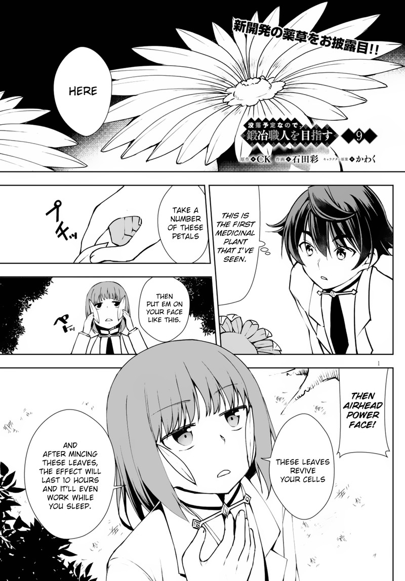 Botsuraku Youtei Nanode Kajishokunin Wo Mezasu 9 1
