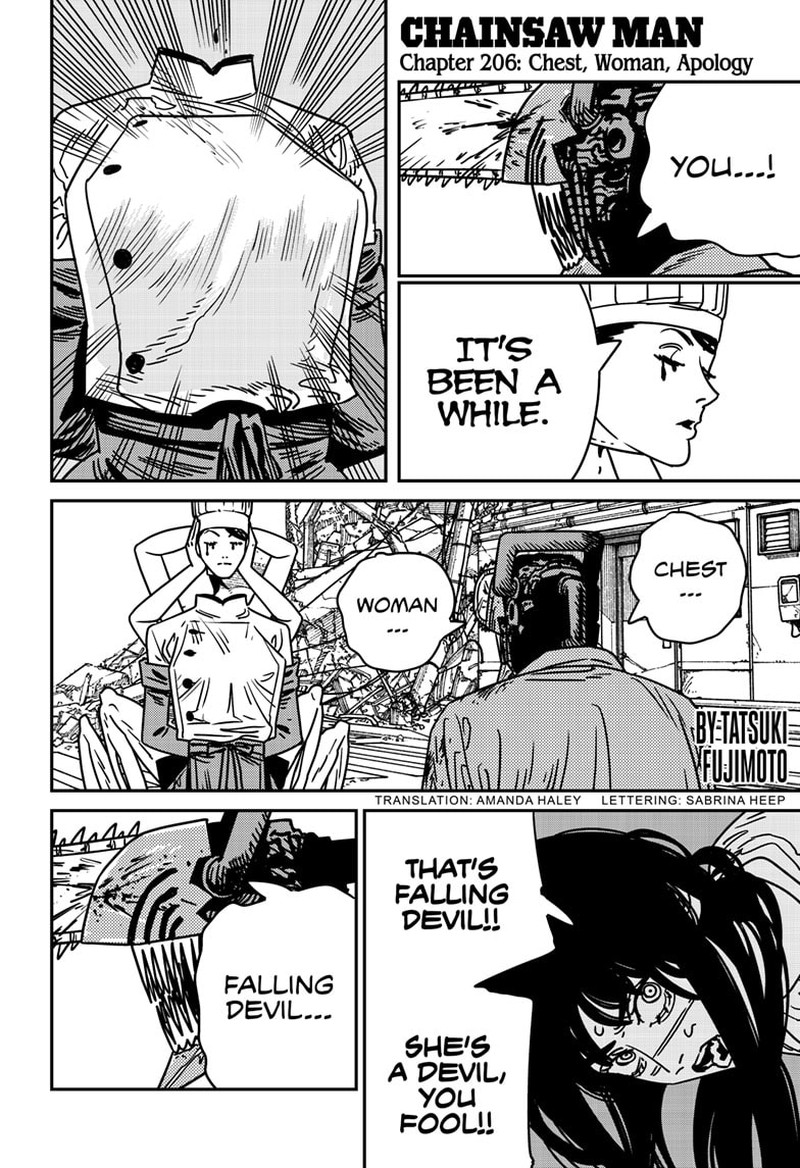 Chainsaw Man 206 1