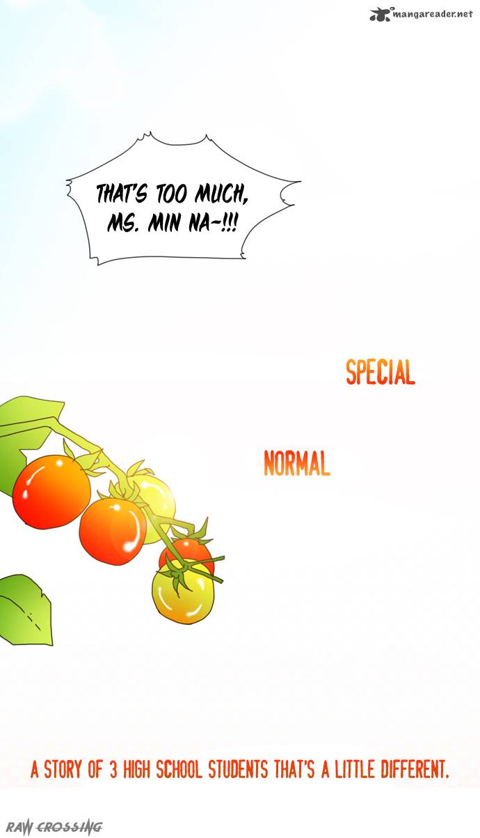 Cherry Tomato 1 18