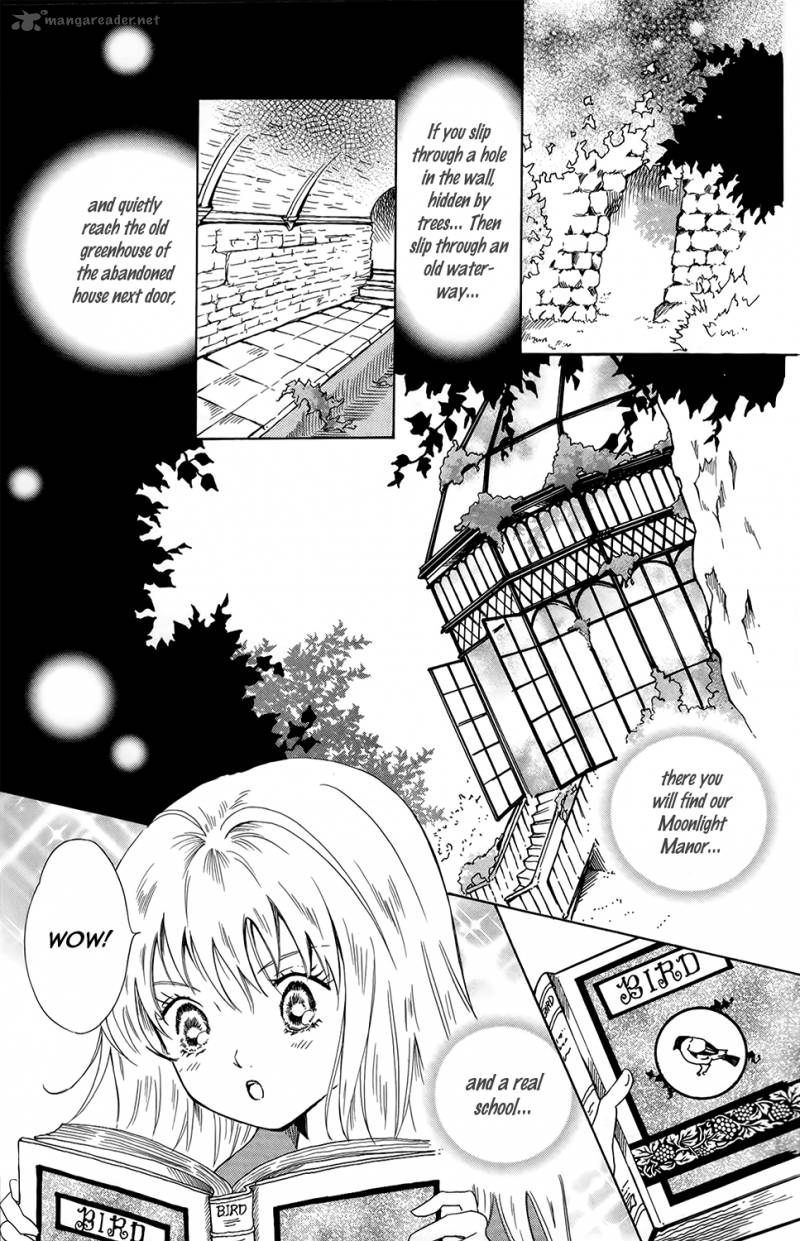 Corset Ni Tsubasa 4 4