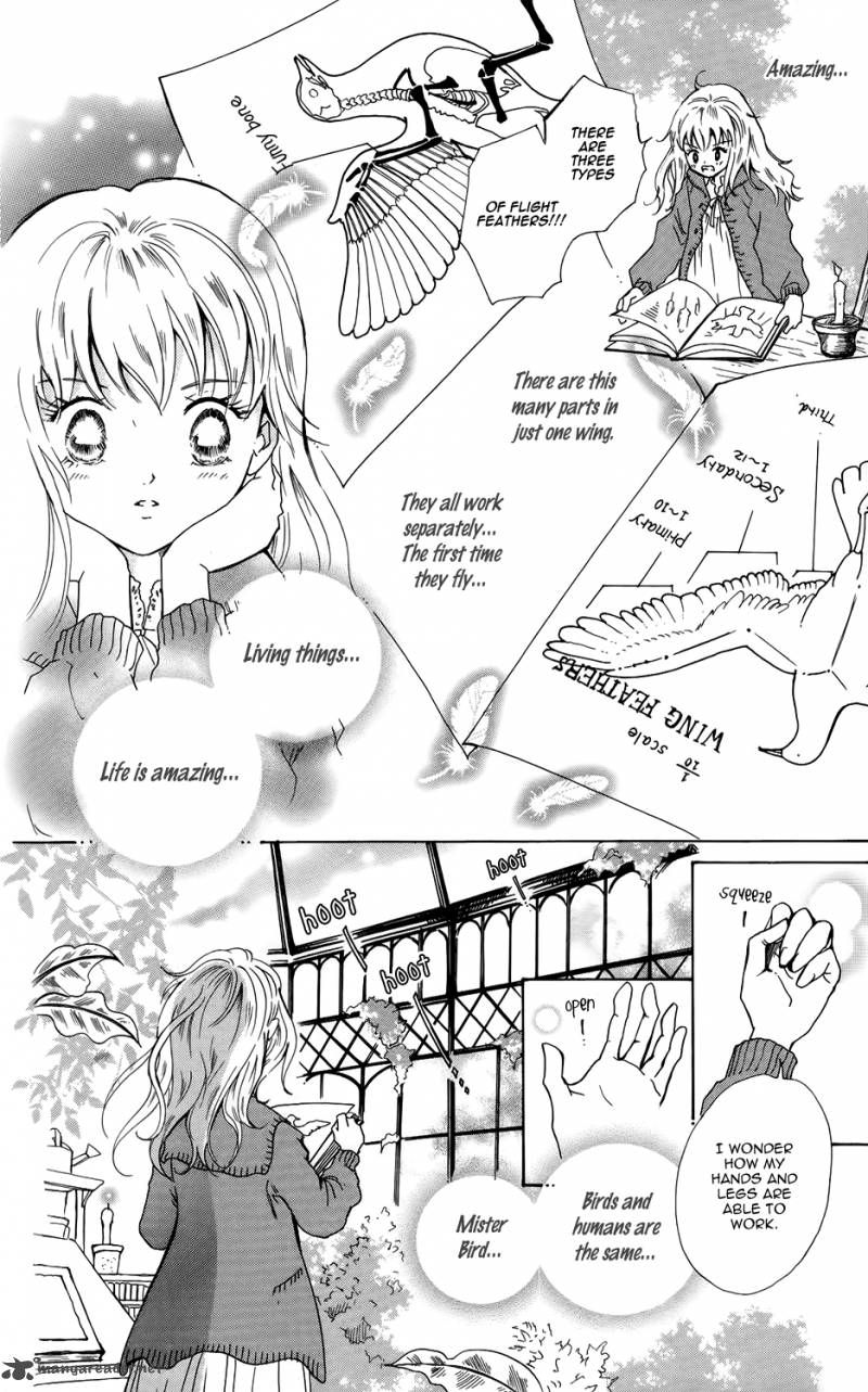 Corset Ni Tsubasa 4 5