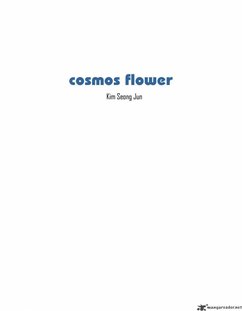 Cosmos Flower 1 7