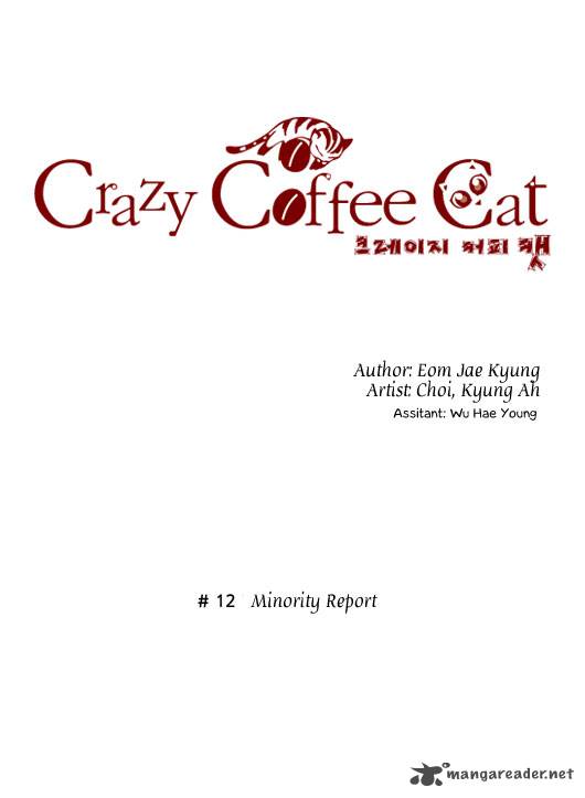 Crazy Coffee Cat 12 2