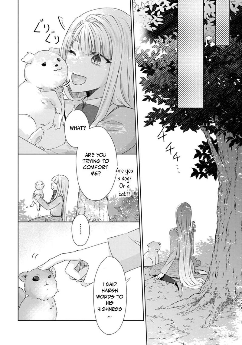 Danzaisareteiru Akuyaku Reijou To Irekawatte Konyakusha Tachi Wo Buttobashitara Dekiai Ga Matte Imashita 7 17